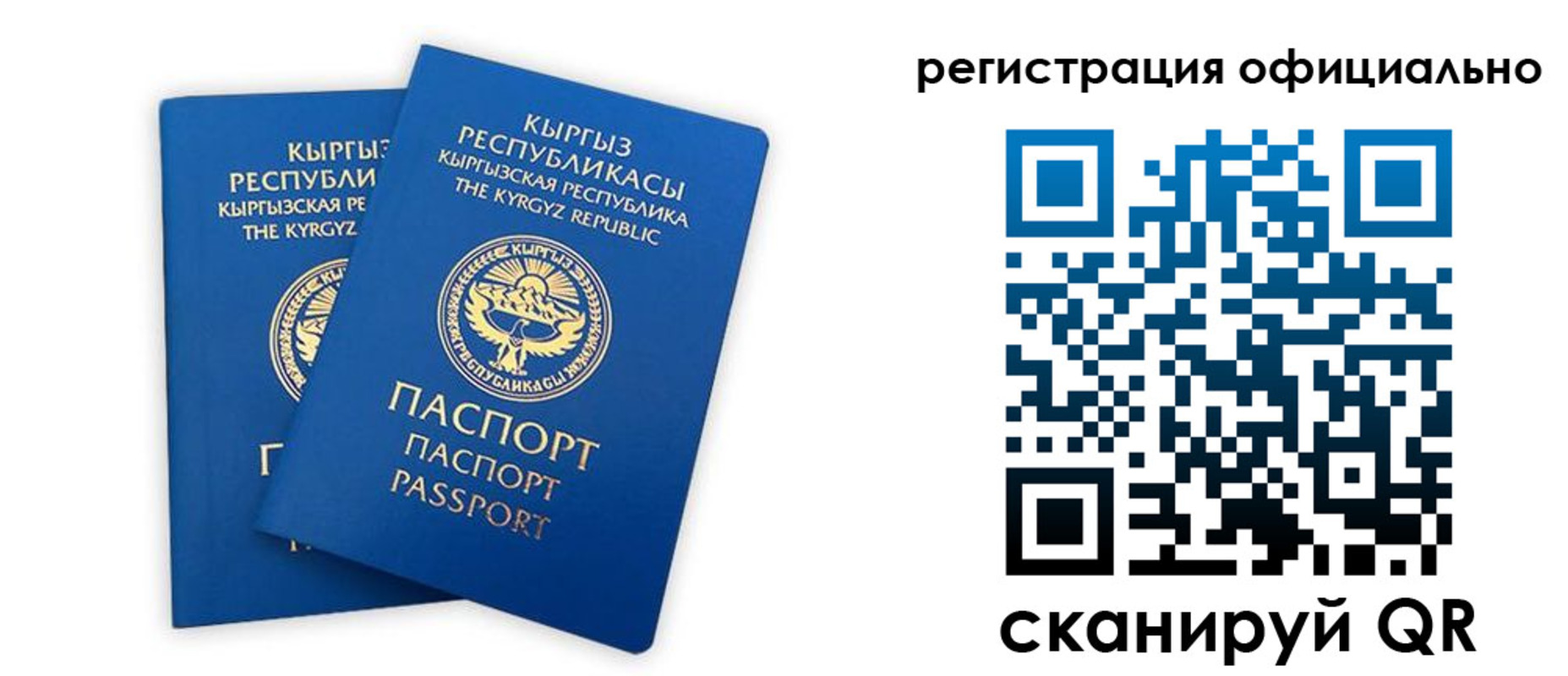прописка поиск в Гороховце